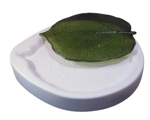 Kiwi Leaf Casting And Slumping Mold