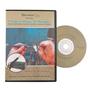Electric Mandrel Spinner DVD