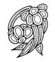 Double Daisy Bevel Cluster