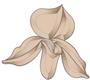 Peach Orchid Bevel Cluster
