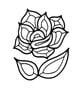Rose Bevel Cluster