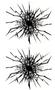 Cracked Glass Black Enamel Decal - 2 Pack