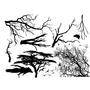 Branches & Birds Black Enamel Large Decals