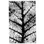 Large Leaf Black Enamel Decal