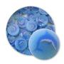 Dolphin Millefiori - 96 COE