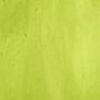 Youghiogheny Lime Green Stipple