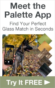 Meet the Palette App