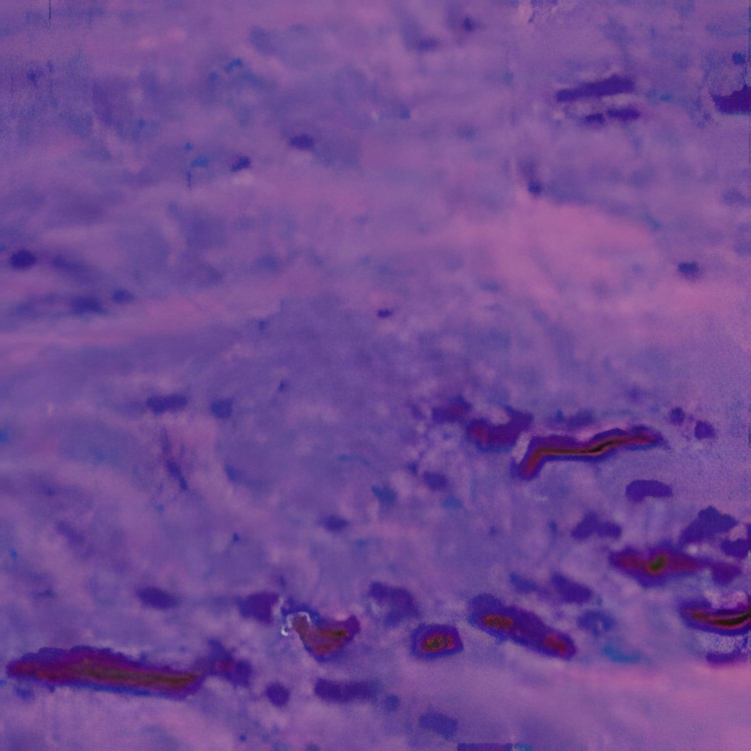 Purple On Thin Clear - 90 COE