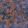 Van Gogh Blue / Copper