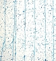 Oceanside Deep Aqua Mardi Gras Hand-Rolled - 96 COE