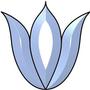 Single Tulip Bevel Cluster