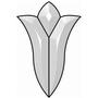 Glasgow Bevel Cluster