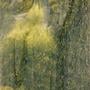 Oceanside Khaki, Dark Green, Yellow Green and Cream Mottle Granite