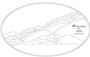 Free Bird of Prey Bevel Panel Pattern