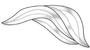 Wave Right Bevel Cluster