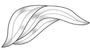 Wave Left Bevel Cluster