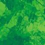 Spectrum Light Green Artique
