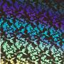 Hummingbird Rainbow 2 on Thin Black - 96 COE