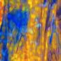 Youghiogheny Yellow with Deep Purple and Cobalt Blue True Dichro