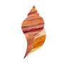 Conch Shell Pre-Cut - 90 COE
