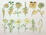 Garden Flowers Gold and Green Enamel Decals