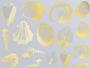 Seashells Gold Enamel Decals