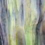 Uro Golden Yellow, Amber, Purple with Spring Green, Emerald and Brown Mottle