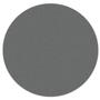 Max 10 Magnetic Diamond Disc - 270 Grit