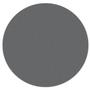 Max 10 Magnetic Diamond Disc - 325 Grit