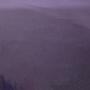 Wissmach Medium Violet Transparent - 96 COE