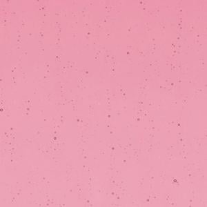 10" x 16" Bullseye Ruby Red Tint Transparent ...