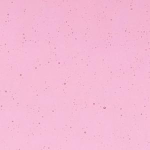 10" x 16" Bullseye Ruby Pink Tint Transparent ...