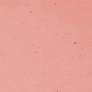 10" x 16" Bullseye Burnt Scarlet Tint Transparent ...