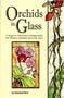 Orchids in Glass Stained Glass Pattern Book
