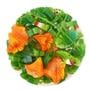 Hummingbird Mix Murrine 1 Oz - 96 COE