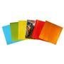 Tiffany Today Koi Pond Stained Glass Pack