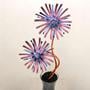 Adorable Asters