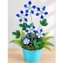 Columbine Flowers